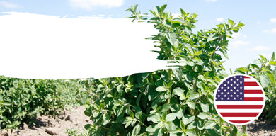 banner-image