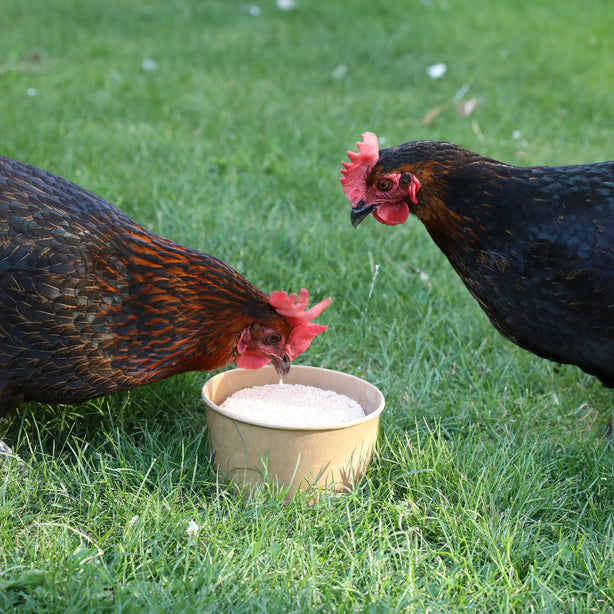 Mineralen Peck Block met Oregano olie