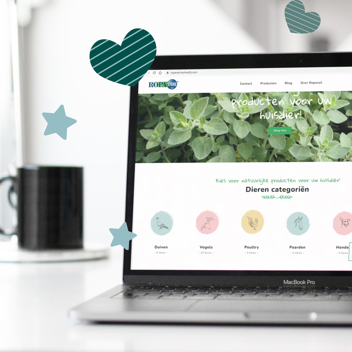 Welkom op onze nieuwe website!